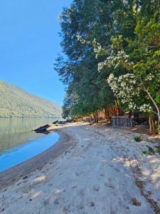 PHOTO-2026-01-08-12-26-14 2