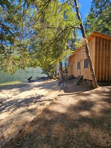 PHOTO-2026-01-08-12-26-14