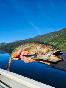 PHOTO-2026-01-08-12-27-13