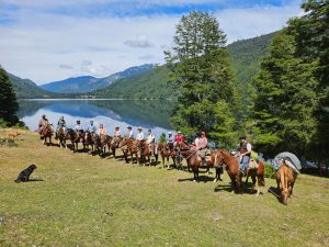 PHOTO-2026-01-08-19-15-53